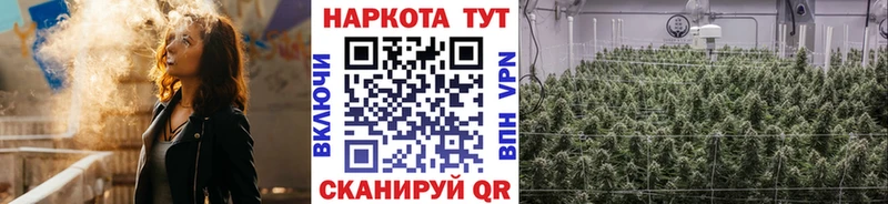 Купить наркоту Зеленоградск ГАШ Конопля Псилоцибиновые грибы Меф мяу мяу