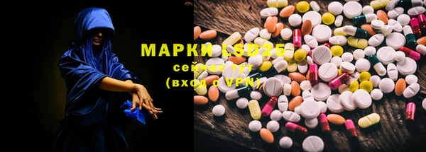 ГАЛЛЮЦИНОГЕННЫЕ ГРИБЫ Алзамай