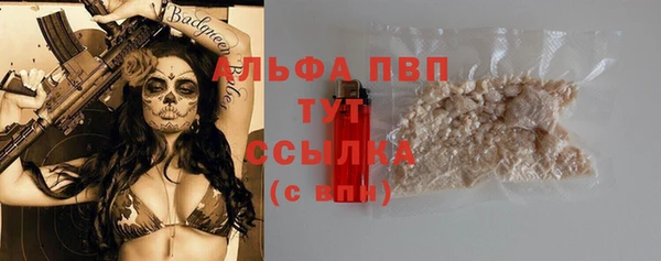 стаф Сосновка