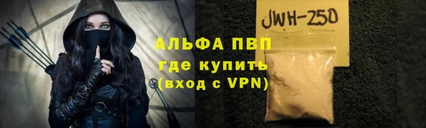 стаф Сосновка